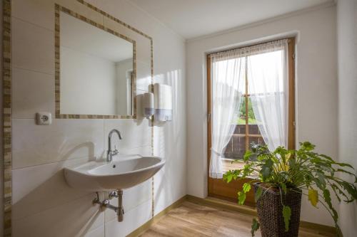 埃布斯Alpengasthof Veitenhof的浴室设有水槽、镜子和植物