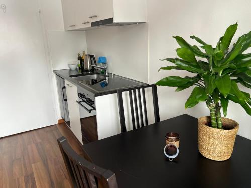 弗利姆斯Studio Flims的厨房里摆放着盆栽植物的桌子