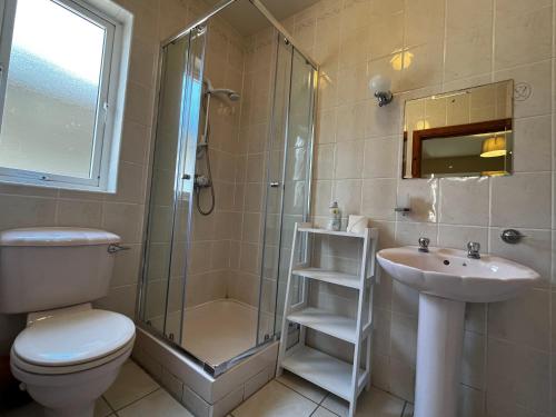 多尼戈尔Ashdoon House的带淋浴卫生间和盥洗盆的浴室