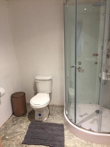 柯纳里佩Domos Hijos del Bosque的一间带卫生间和玻璃淋浴间的浴室