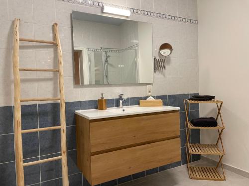 奥斯坦德Maison Nausikaa的一间带水槽和镜子的浴室