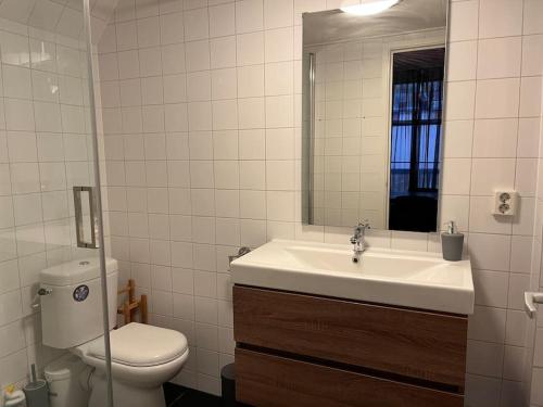 吕伐登Appartement centrum Leeuwarden的一间带水槽、卫生间和镜子的浴室