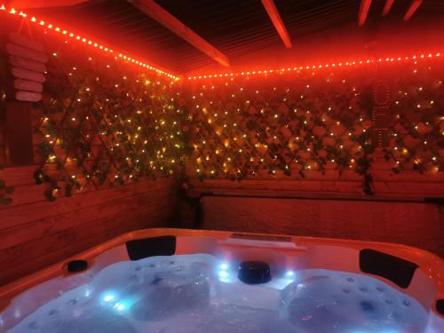 LignéLoft d'amour的浴缸位于墙上的灯光房间内
