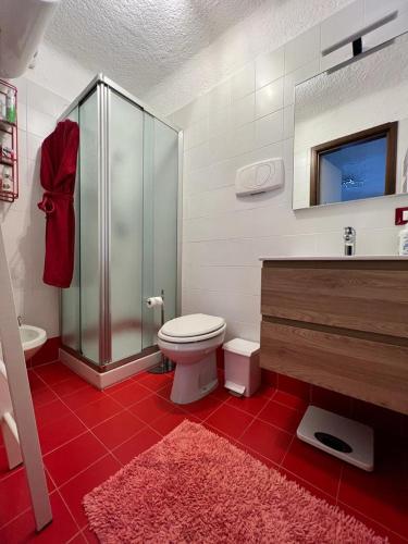 ArtogneGin Sole Apartment的一间带卫生间和玻璃淋浴间的浴室