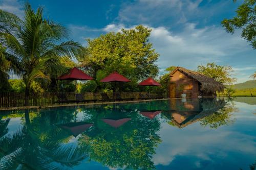 蒂瑟默哈拉默加加蜜蜂雅拉酒店的一座带房子和树木的度假游泳池