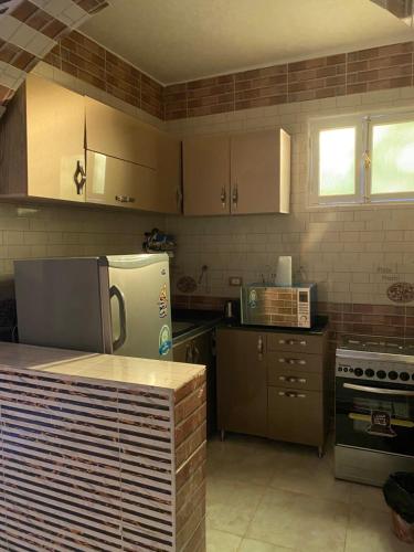 阿斯旺Sunrise shiny Nubian Guest House的厨房配有不锈钢用具和柜台