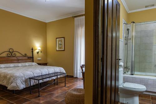 Perales del PuertoDON JULIO的一间卧室设有一张床、淋浴和卫生间