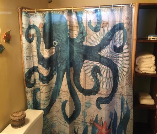 Riversdale迷失珊瑚礁度假村的浴室内提供章鱼淋浴帘