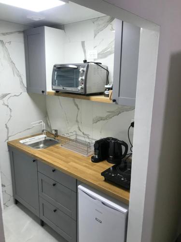 阿什杜德Sima Suite 2的厨房配有水槽和台面上的微波炉