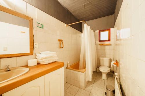 普孔Espacio Ecole Pucon的浴室配有盥洗盆、卫生间和浴缸。