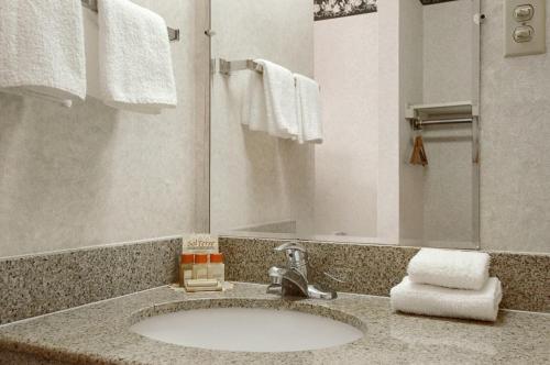 马丁斯维尔马丁斯维尔山脊旅程汽车旅馆的浴室配有盥洗盆、镜子和毛巾