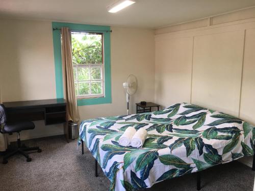 帕霍阿Pahoa Village Hostel的一间卧室配有一张床、一张书桌和一个窗户。