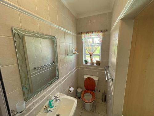 EdgemeadLemon Tree Cottage的一间带卫生间、水槽和镜子的浴室
