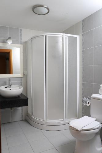 达利安Hotel Binlik的带淋浴、卫生间和盥洗盆的浴室