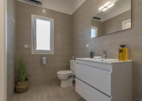 图卢兹COSY LODGE TOULOUSE的一间带卫生间、水槽和镜子的浴室