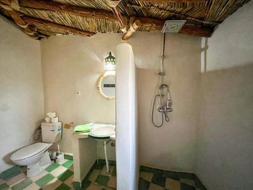 AmizmizLes Jardins d Amizmiz的一间带卫生间和淋浴的浴室。
