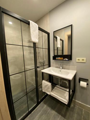 伊斯坦布尔Li Hotel Pera的一间带水槽和淋浴的浴室