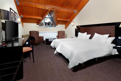 福米加尔HG阿尔拓阿拉贡酒店的酒店客房设有一张大床和一台电视。
