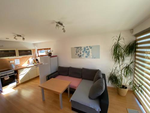 上贝奇瓦Apartmany Resort的客厅配有沙发和桌子