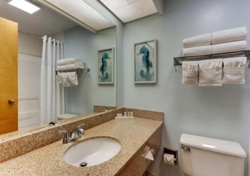 大西洋滩棕榈套房酒店的一间带水槽、卫生间和镜子的浴室