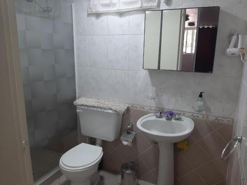 门多萨M & Mendoza的一间带卫生间、水槽和镜子的浴室