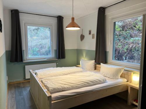 LerbachPlatell Ferienhäuser Lerbach的配有2扇窗户的客房内的1张床