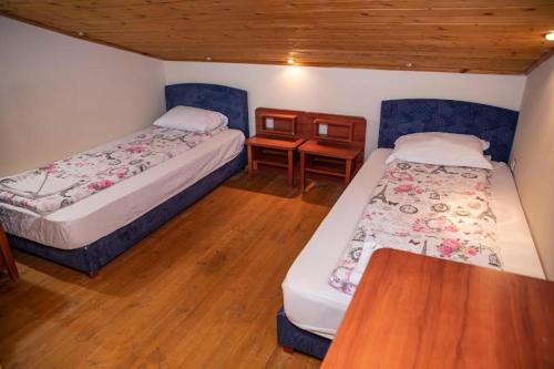 梅尔尼克Стария Чинар Мелник的铺有木地板的客房内的两张床