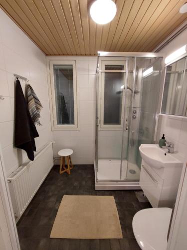 于韦斯屈莱Kotirinne 135 - järven rannalla的带淋浴、卫生间和盥洗盆的浴室