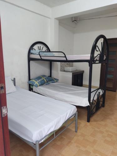Keneth Hostel的一间客房内配有两张双层床的房间