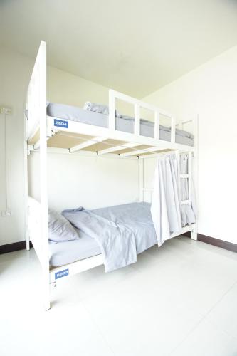 Bedbox Hostel客房内的一张或多张双层床