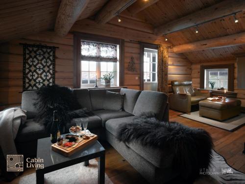 Nes i ÅdalLarge cabin on Nesfjellet pure luxury feeling的客厅配有沙发和桌子
