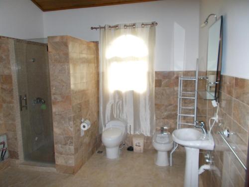 拉斯特拉纳斯卡斯蒂略罗曼诺旅馆的浴室配有卫生间、盥洗盆和淋浴。
