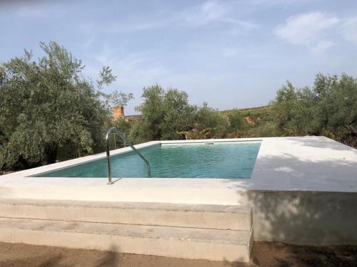 马尔莫莱霍La Aragonesa的房屋顶部的游泳池