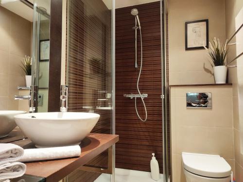 博尔德斯·代瓦里拉AC Apartaments Bordes的浴室配有卫生间、盥洗盆和淋浴。