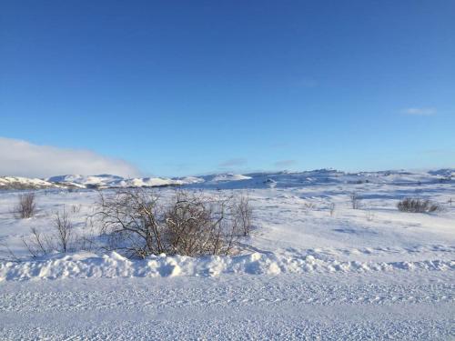 米湖Slow Travel Mývatn - Óli's Homestay-Private house v的远处有一片有灌木丛的雪地