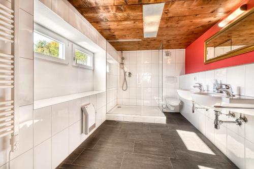 比尔塞贝格Berghaus Tschengla by A-Appartments的带淋浴、盥洗盆和卫生间的浴室