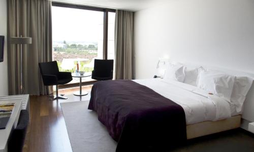 埃斯托伊普萨达帕拉西奥德艾斯托瓦 - 世界小型豪华酒店的酒店客房设有一张床和一个大窗户