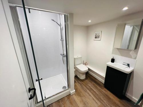 赫里福德Apartment 6 Sullivan House的带淋浴、卫生间和盥洗盆的浴室