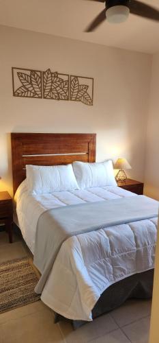 圣何塞德尔卡沃SUITES LOMBOY & PLAZA的一间卧室配有一张大床和木制床头板