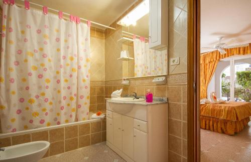 洛斯克里斯蒂亚诺斯奥纳洛杉克拉维勒公寓的一间带水槽和淋浴帘的浴室