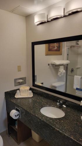卡明Comfort Suites Cumming-Atlanta near Northside Hospital Forsyth的一间带水槽和大镜子的浴室