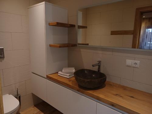 多比亚科kuglerhof的一间带水槽和卫生间的浴室