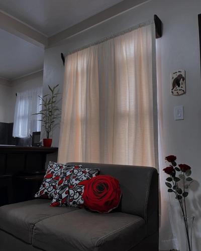 福尔图纳Honey House 2017的红玫瑰坐在窗前的沙发上