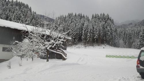 奥贝劳舒瓦格霍夫膳食公寓的一座有房子和树木的雪地覆盖的院子