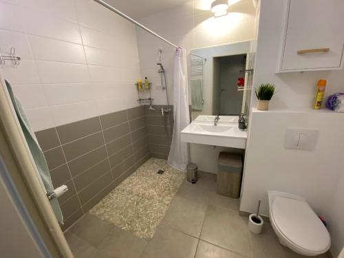 拉特斯特德布赫Bel appartement , à 2km du bassin d'Arcachon的带淋浴、卫生间和盥洗盆的浴室