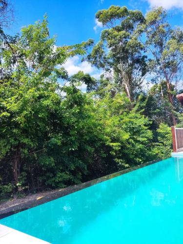 伊塔乌纳斯Pousada Aroeira的一座树木环绕的游泳池