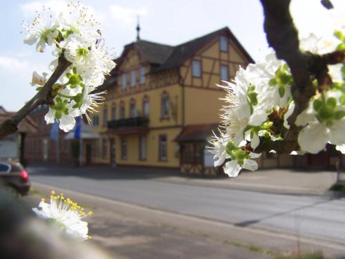 赫斯巴赫戈贝酒店的屋前有白色花的树