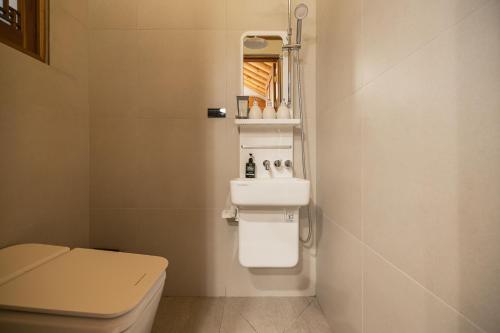 首尔Luxury hanok with private bathtub - SN11的一间带卫生间和水槽的浴室