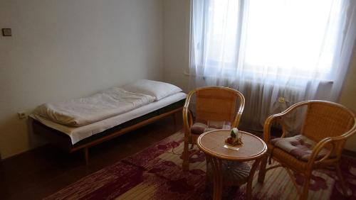 班斯卡-比斯特里察Apartmán 6 km od centra Banskej Bystrice的小房间设有一张床、两把椅子和一张桌子