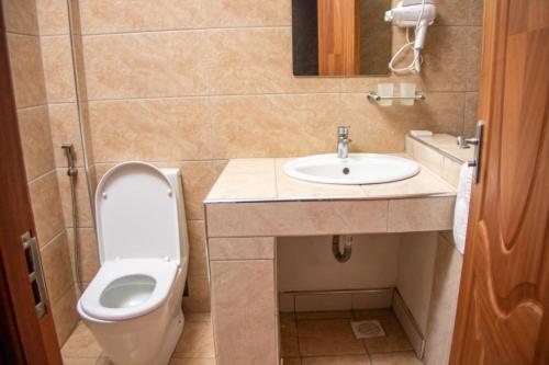 纳库鲁Grand Winston Hotel的一间带卫生间和水槽的浴室